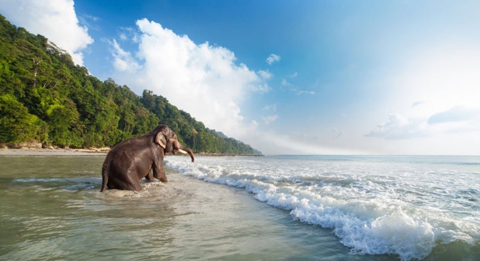 Elephant Beach, Andaman and Nicobar Islands, India